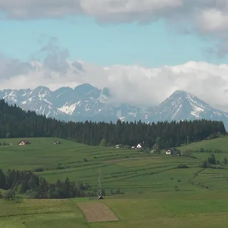 Willa Grywald Grywald