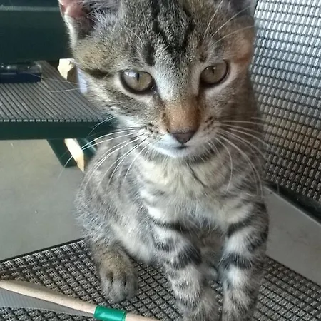 Willa Grywald 3* Grywald