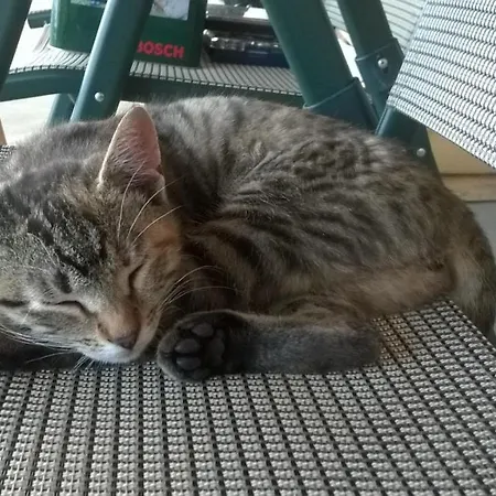 Willa Grywald Guest house Grywald