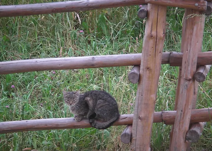 Πανσιόν Willa Grywald 3*