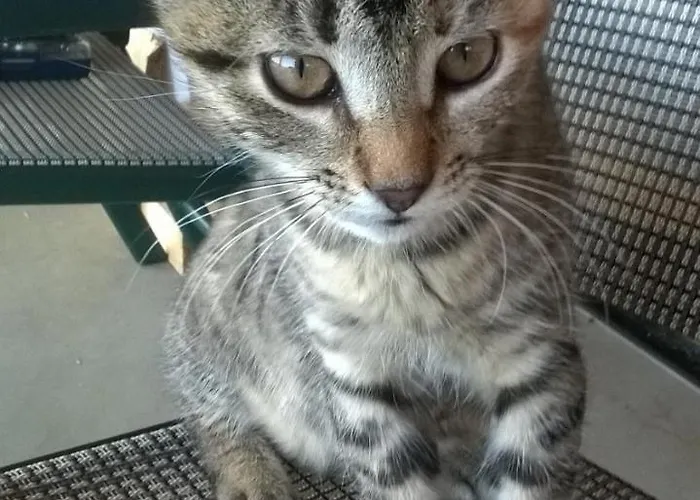 Willa Grywald 3* Grywałd