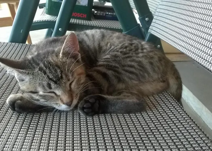 Willa Grywald Vendégház Grywałd